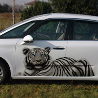 aerograf airbrush white tiger citroen