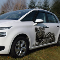 aerograf airbrush white tiger xsara picasso