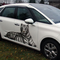 aerograf airbrush bialy tygrys xsara picasso