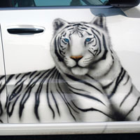 aerograf airbrush tygrys lakierowanie artystyczne