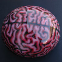 aerograf airbrush brain helmet kask orzech