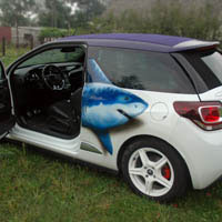 aerograf airbrush citroen shark