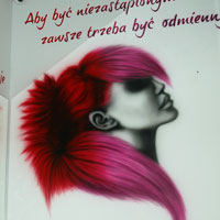 airbrush aerograf streetart salon  hairstylist barbershop wwa